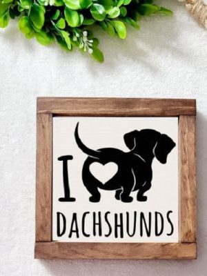 i-love-dachshunds