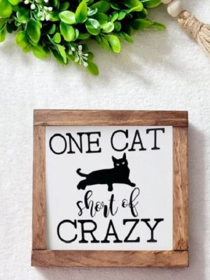 one-cat-short-of-a-crazy-lady