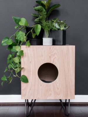 Cat House with Hairpin Legs