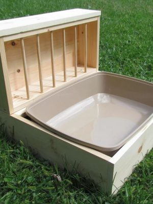 Bunny Feeder and Litter Box
